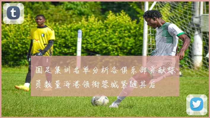 国足集训名单分析各俱乐部贡献球员数量海港领衔蓉城紧随其后