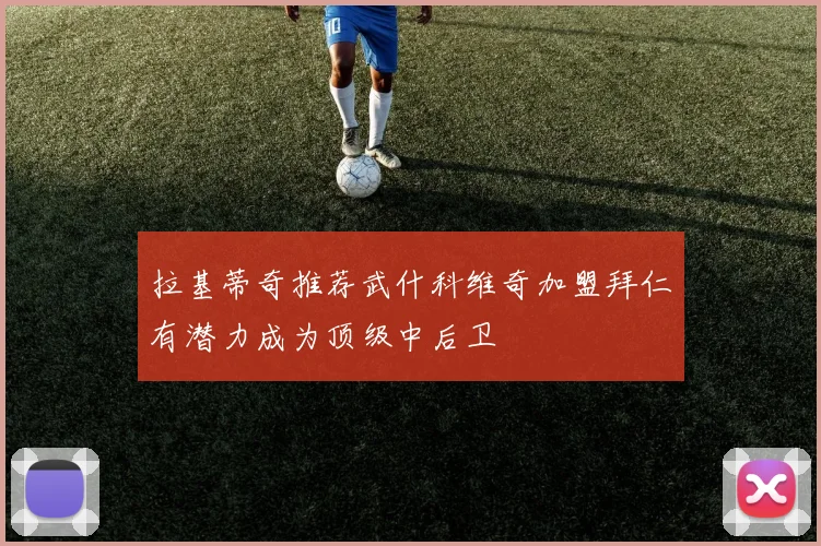 拉基蒂奇推荐武什科维奇加盟拜仁有潜力成为顶级中后卫